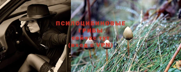 каннабис Белоозёрский